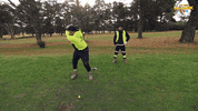 Renovate Channel 9 GIF by The Block