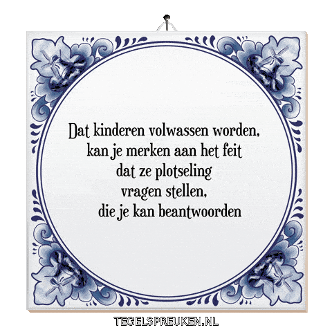 Nl Wijsheid Sticker by Tegelspreuken.nl