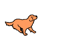 Golden Retriever Dog Sticker by yu-san