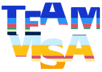 Teamvisa Sticker by Visa