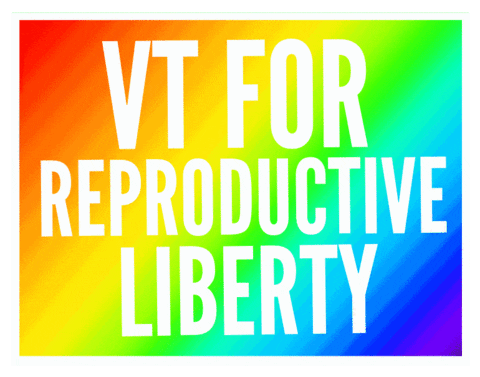 ReproLibertyVermont giphyupload vote vermont pro choice GIF