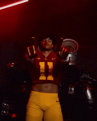 Fight On GIF