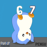6 7 Penguin GIF by Pudgy Penguins