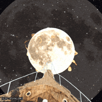 Fire Travel GIF by Psyklon