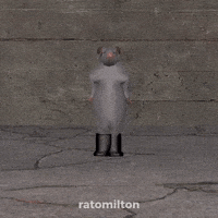 Ai Rat GIF