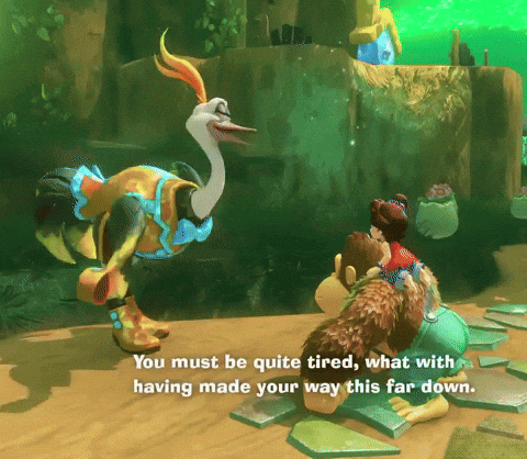 Donkey Kong Dk GIF