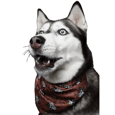 Look Sticker