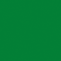 St Patricks Day Festival GIF by sendwishonline.com