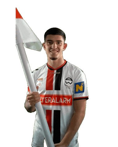 Admira Sticker by KSV1919