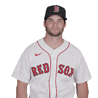 Red Sox Baseball Sticker by Boston Red Sox