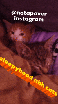 Paver GIF
