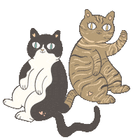 diario_di_una_scappata_di_casa hello hi cats hola Sticker