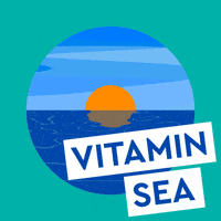 Travel See GIF by ROBINSON – Share the moment