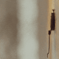 run run GIF by Ray BLK
