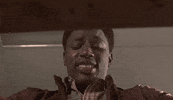 the wood smh GIF