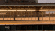 Winter Nyc GIF by This Bushwick Life