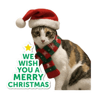 Merry Christmas Cat Sticker