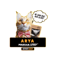 Dried Meat Cat Sticker by Sztosy.co