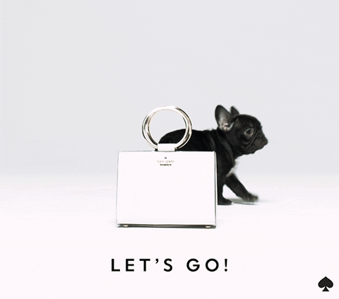 let's go help GIF by kate spade new york