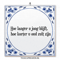 Humor Nl GIF by Tegelspreuken.nl