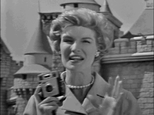 sleeping beauty castle disney GIF