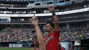 Reacts Major League Baseball GIF by MLB