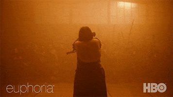Game Of Thrones Hbo GIF by euphoria
