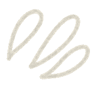 Confetti Border Sticker