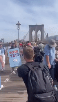 Supporters of Australia's 'Vote Yes' Campaign March in New York City