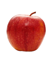 Food Comida Sticker by Fanta Brasil