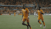 Major League Soccer Football GIF by Houston Dynamo FC