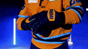 Hockey GIF by Toledo Walleye