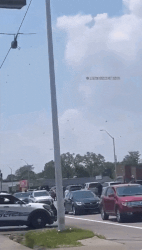 U-uuu giphyupload GIF