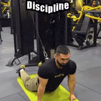 Mem Discipline GIF