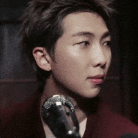 Rm Bts GIF