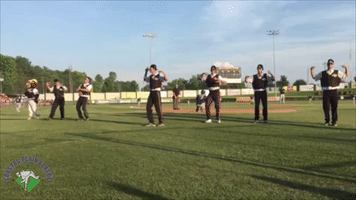 gastonia grizzlies dance GIF by Coastal Plain League