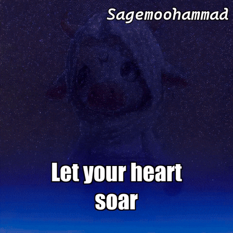 Stars Night GIF by Sagemoohammad