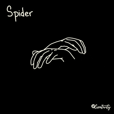 Asl Spider GIF by 58 Creativity