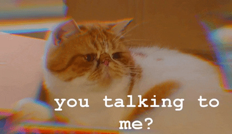 pete-the-cat giphyattribution you talking to me GIF