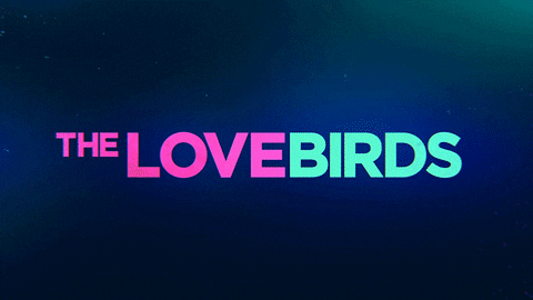 TheLovebirdsMovie giphyupload love comedy issa rae GIF