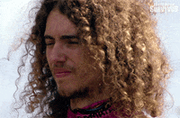 survivorau cat winner evil tiger GIF