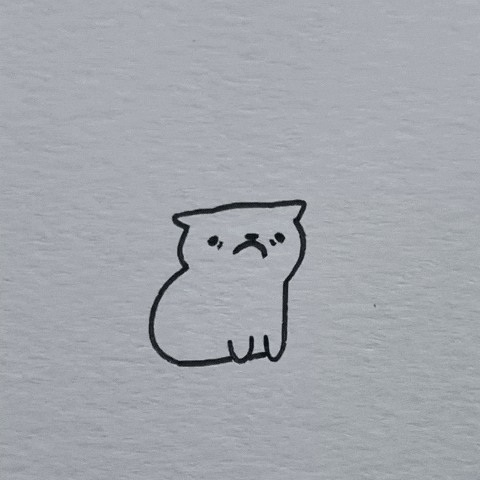 Cat Throwing GIF