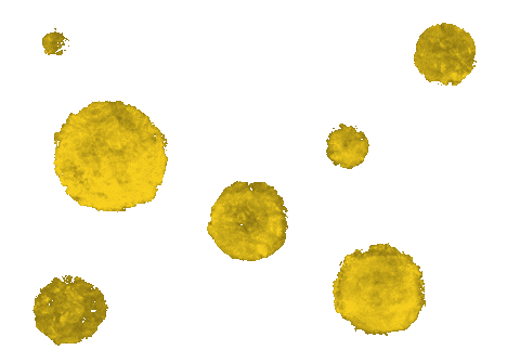 Stars Moon Sticker