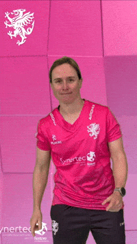 T20 Vitality Blast GIF by Somerset County Cricket Club