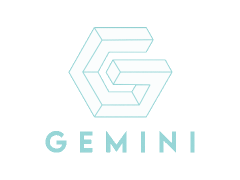 Gemini Sticker by F45 Training Kemang