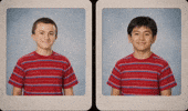 The Middle Brick GIF