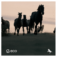 To The Moon Crypto GIF by Eco