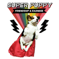 dog Sticker by Puppies Make Me Happy