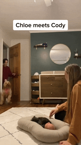cuteanimalland giphyupload GIF