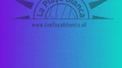 Lpb20 GIF by La Playa Blanca